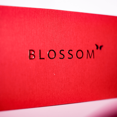 Alchemist: Blossom Sensitive (DVD and Gimmick) by Will Tsai - Trick